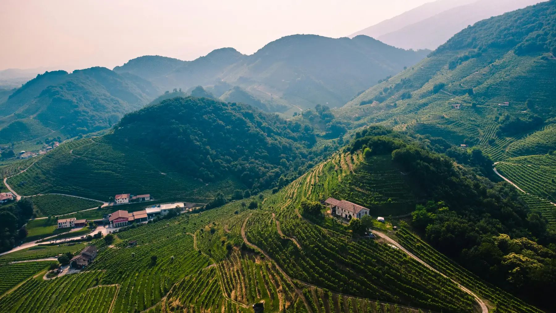 Vista dall'alto delle colline del Prosecco di Valdobbiadene